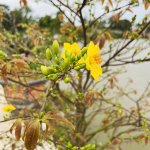 IMG_5371.jpeg