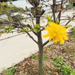 IMG_5372.jpeg