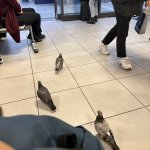 IMG_3192.jpeg