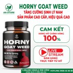 Thuốc Trị Yếu Sinh Lý Nam Của Mỹ.jpg
