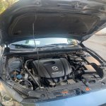 IMG_5911.jpeg