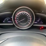 IMG_5913.jpeg