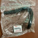 IMG_4239.jpeg