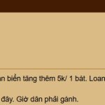 T1.jpg