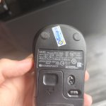1000028914.jpg