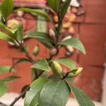 IMG_8746.jpeg