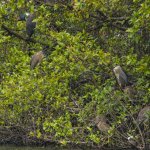IMG_1361.JPG