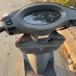IMG_5964.jpeg
