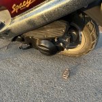 IMG_5963.jpeg