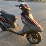 IMG_5961.jpeg