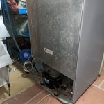 IMG_4784.jpeg