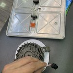 IMG_0795.jpeg