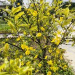 IMG_5408.jpeg