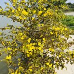 IMG_5407.jpeg