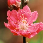 IMG_1497.JPG