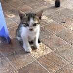 IMG_0742.jpeg