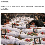 1772592666603.png
