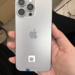 IMG_2194.jpeg