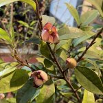 IMG_9091.jpeg