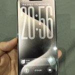 IMG_0055.jpeg