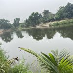 IMG_1612.jpeg