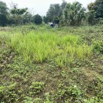 IMG_1606.jpeg