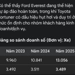 2038.jpg