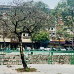 IMG_0866.jpeg