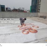 2026-03-06 09.54.21__(Điều hòa gió lạnh 365)_(Tiêu đề-Uy tín -tận tâm - chuyên nghiệp)_(-Phân ...jpg