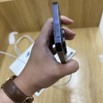 IMG_2356.jpeg