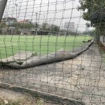 IMG_2948.jpeg