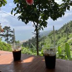 IMG_2046.jpeg