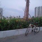 IMG20260304181147.jpg