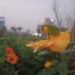 IMG20260304181403.jpg