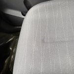 IMG_8843.jpeg