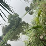 IMG_1611.jpeg