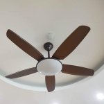 8682267-4fd51d98553b9fbd9c5c19df6047f2d5 (1).jpg