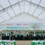 Trung hoa carbon (1).jpg