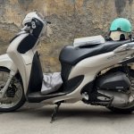 IMG_0100.jpeg