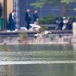 IMG_0511.JPG