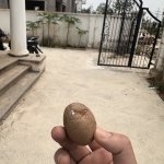 IMG_0483.jpeg