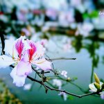 MEITU_20260311_174653941.jpg