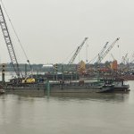 IMG_9110.jpeg