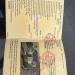 IMG_6860.jpeg