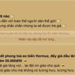 IMG_7082.jpeg