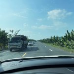 TVH's pic - Duong tranh Long Xuyen, An Giang - 070326 (1).jpg