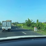 TVH's pic - Duong tranh Long Xuyen, An Giang - 070326 (4).jpg