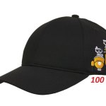 100.jpg
