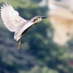 IMG_2355.JPG