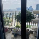 IMG_8389.jpeg